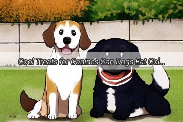 Cool Treats for Canines Can Dogs Eat Cold Kibble and Stay Healthy